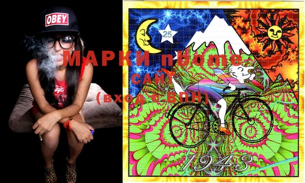 шишки Туринск