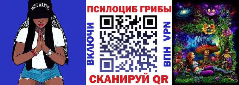 Купить где  Нижний Новгород  Псилоцибиновые грибы Magic Shrooms 